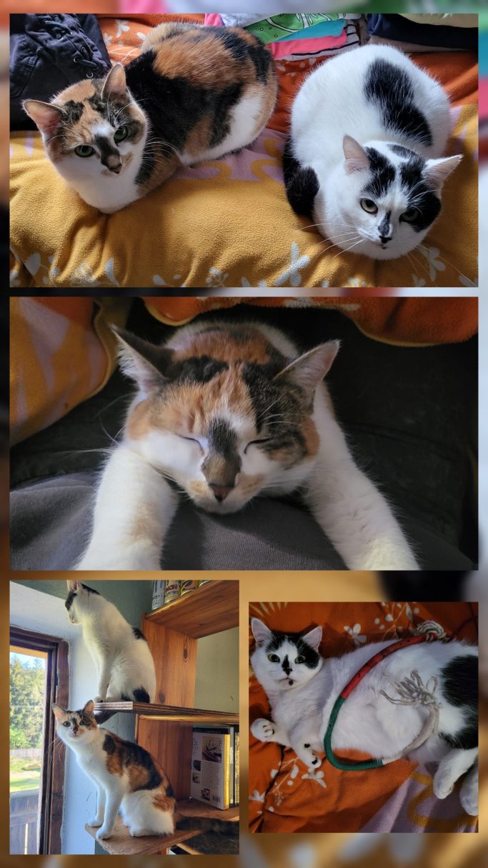 Holly & Penny